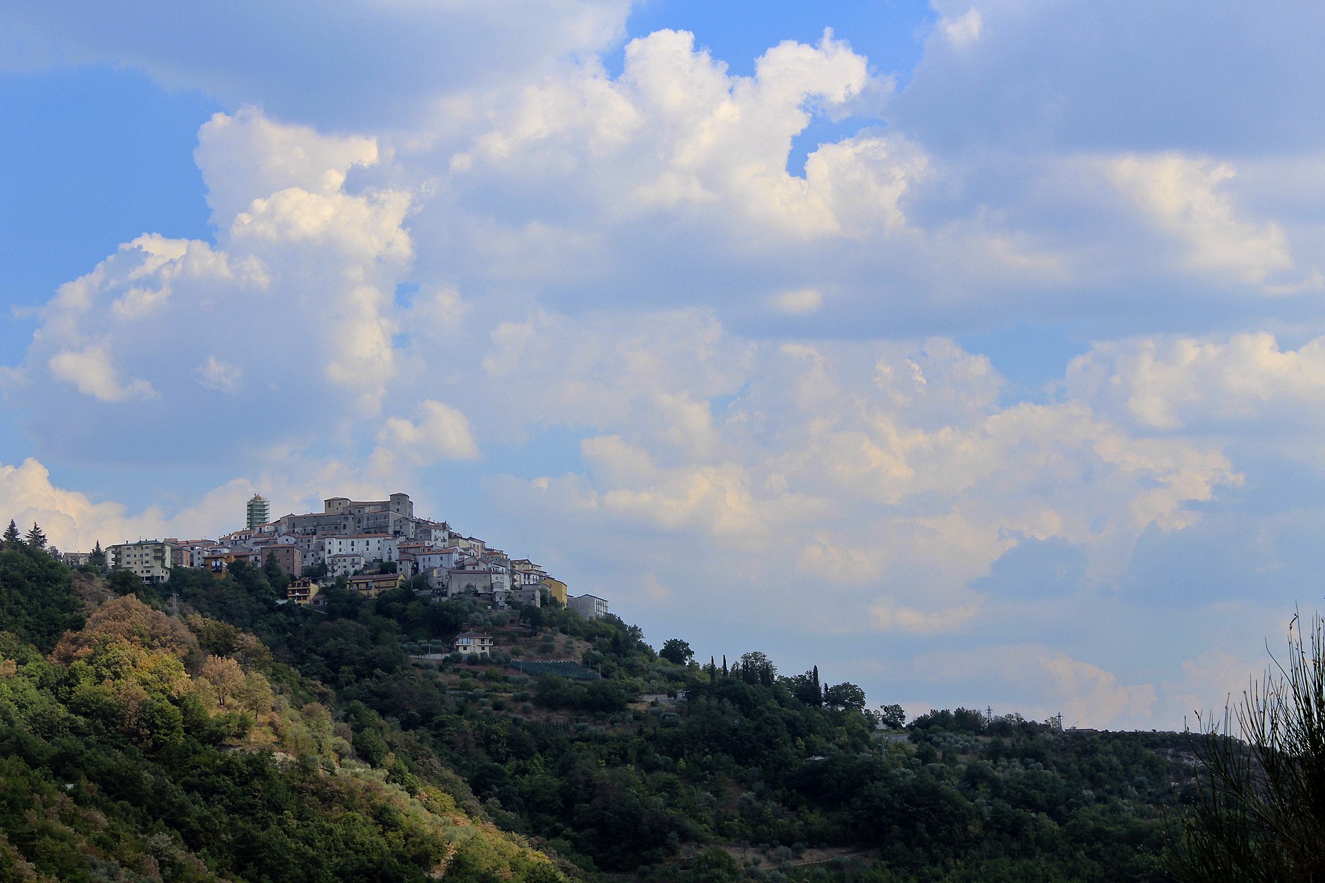 Savoia di Lucania